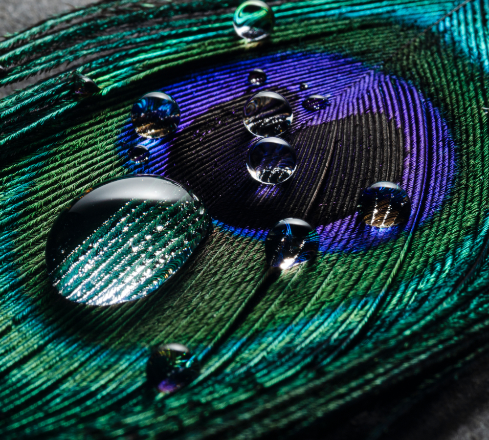 Spiritualité ancienne